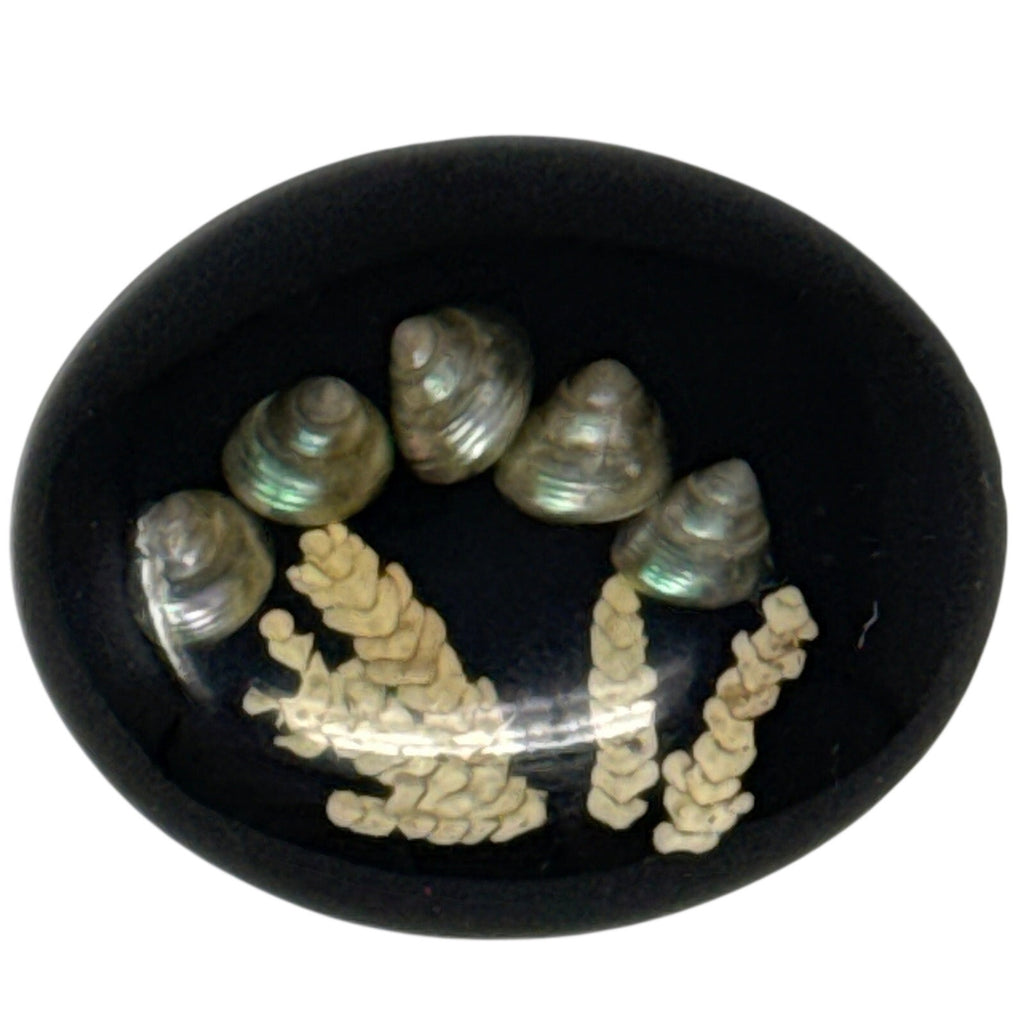 Vintage 60s Resin Shell Brooch Black Oval Mother of Pearl Sea Motif