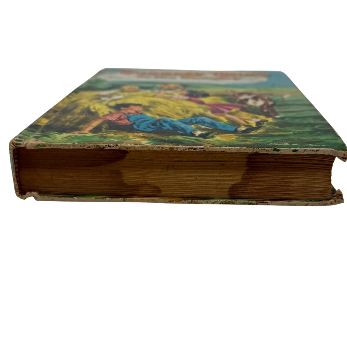 Vintage 50s Bobbsey Twins in the Country Whitman Hardcover Book