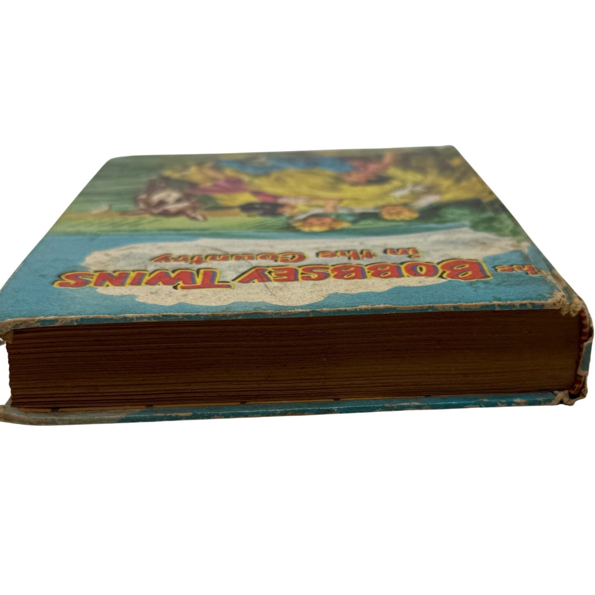 Vintage 50s Bobbsey Twins in the Country Whitman Hardcover Book